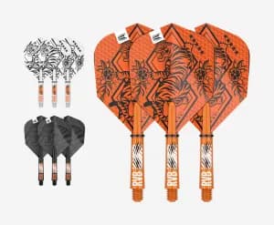 Target Raymond van Barneveld INK Bundle – varret ja sulat
